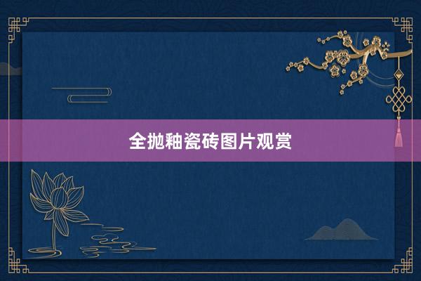 全抛釉瓷砖图片观赏