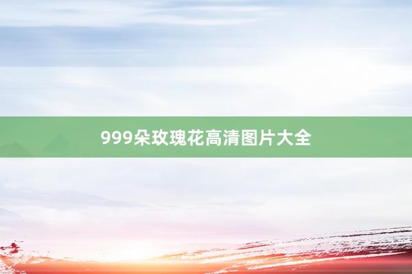999朵玫瑰花高清图片大全